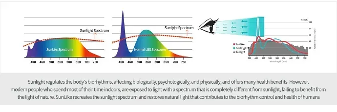 SSC SUNLIKE perception of sunlight